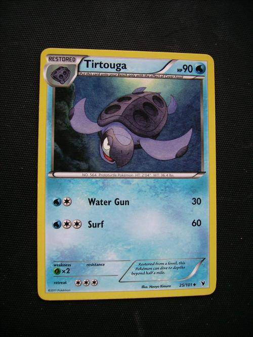 pokemon Tirtouga