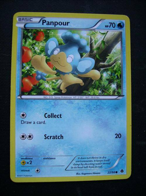 Pokemon Panpour