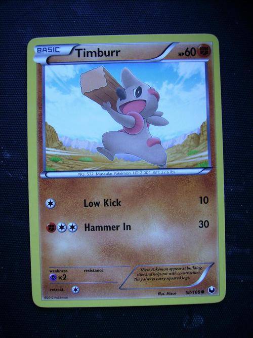 Pokemon Timburr
