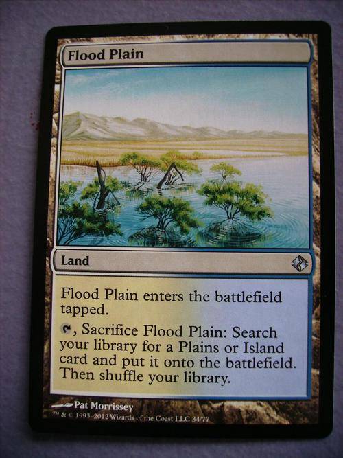 Magic the Gathering Flood Plain Duel Decks (Uncommin)