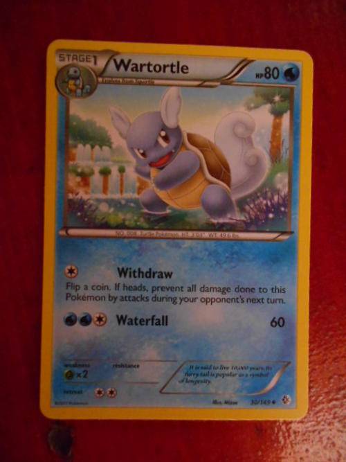 Pokemon Wartortle