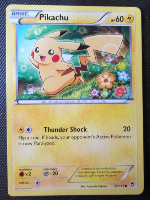 Pokemon Furious fists Pikachu