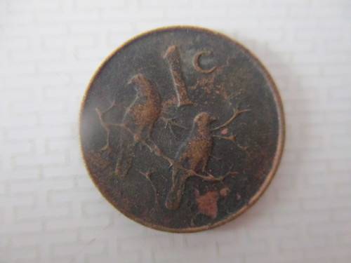 SOUTH AFRICA  1c COIN - AFRIKAANS  JAN VAN RIEBEEK 1966