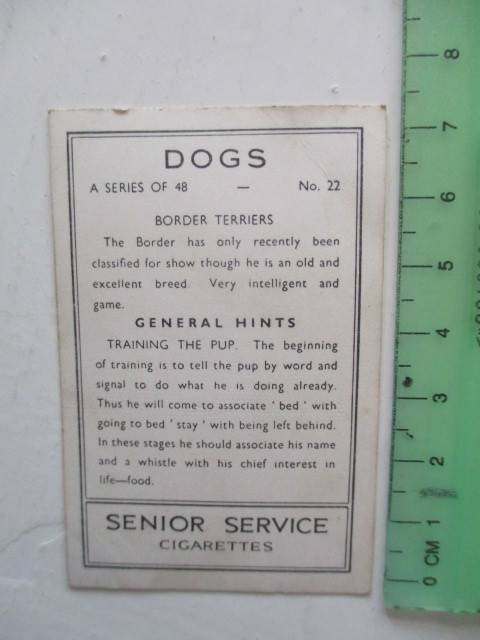 CIGARETTE CARDS /  SENIOR SERVICE / DOGS PHOTOGRAPH CARDS LOT OF  6 CARDS