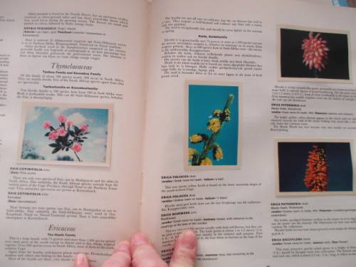 OUR FLOWER PARADISE  ALBUM WITH COCA- COLA COLLECTOR CARDS - 1964