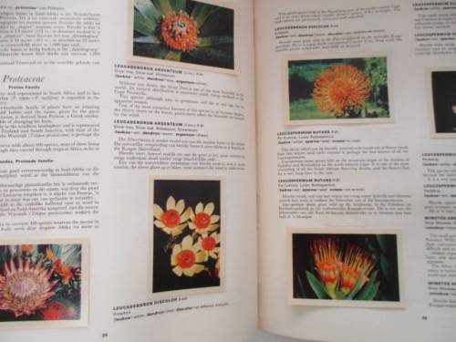 OUR FLOWER PARADISE  ALBUM WITH COCA- COLA COLLECTOR CARDS - 1964