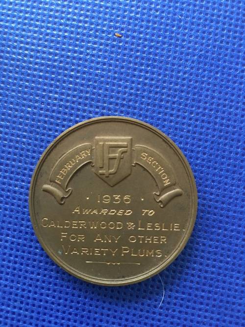 MEDALION FRUIT SHOW  1936 BRONZE