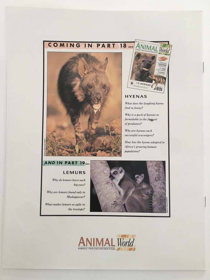 LOVELY MAGAZINE - ANIMAL W0RLD - NO.  17 - RATS AND MICE - 1993