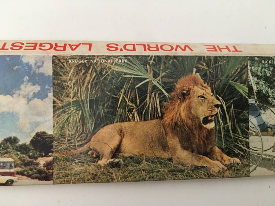 VINTAGE  SOUVENIR  MATCHBOOK LONGER THAN A RULER  SCENES FROM SOUTH AFRICA 1960`S