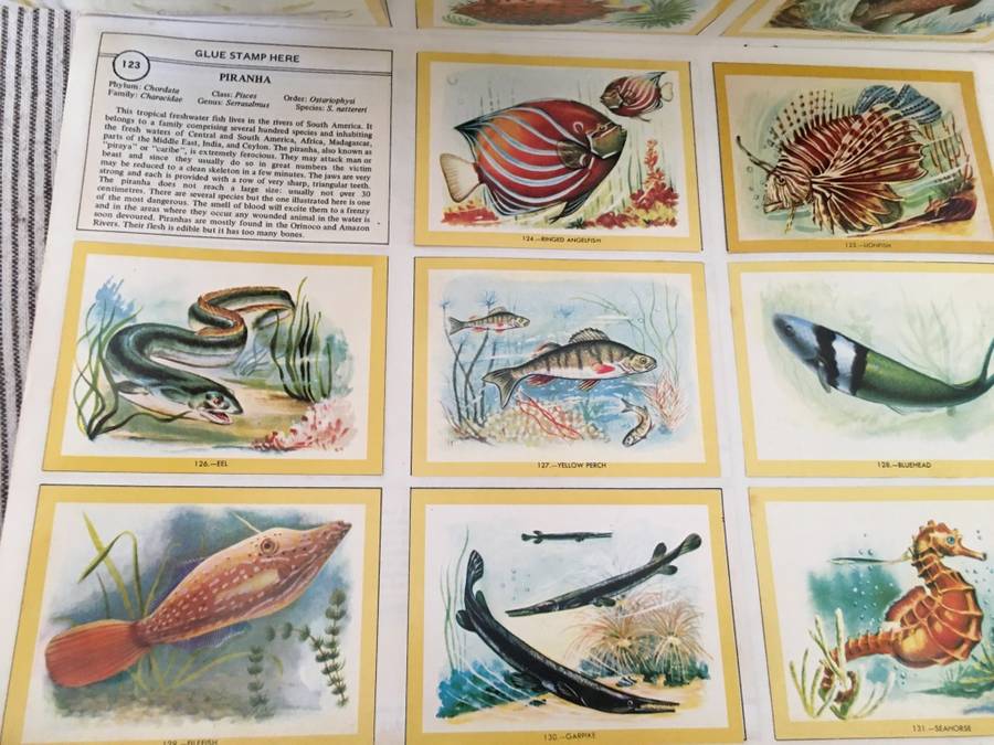 VINTAGE - NATURAMA - 1972 - LOVELY COLOUR COLLECTOR PICTURES  BOOK A FEW MISSING MOSLY COMPLETE