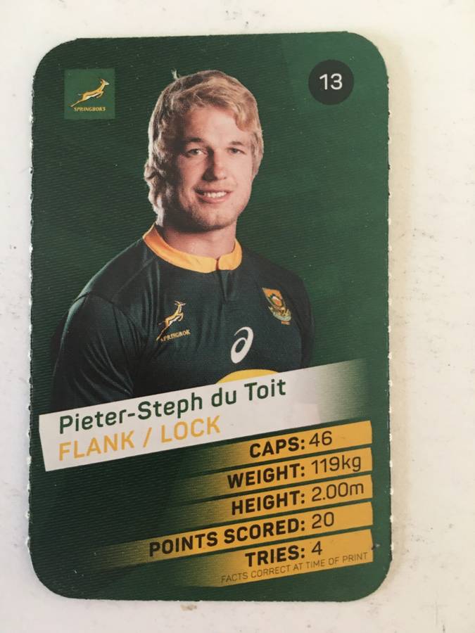 SPRINGBOK TRADING CARD  - PICK N PAY SUPER CARDS - NO. 13 -