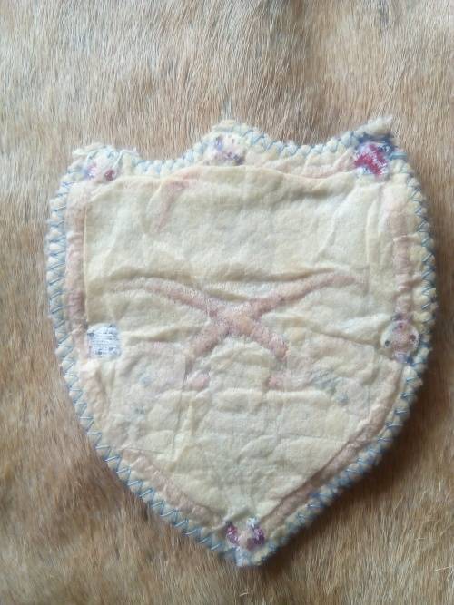 SADF .. VINTAGE PT INSTRUCTOR BADGE