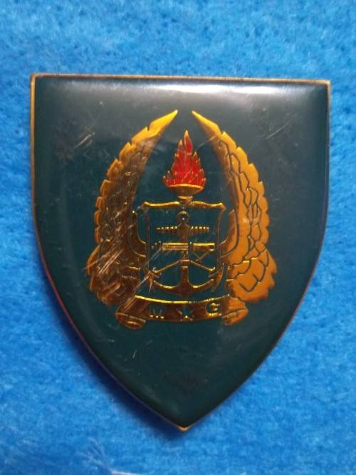 SADF .. ARMY GYMNASIUM METAL SHOULDER FLASH .. ALL PINS INTACT