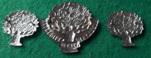 SADF - REGT PRESIDENT STEYN CAP AND COLLAR BADGE SET (Shortened lugs on cap badge)