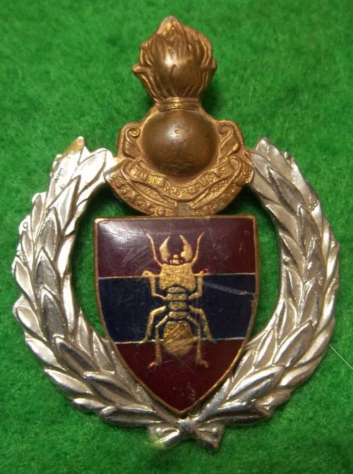 SADF - 1 CONSTRUCTION REGIMENT CAP BADGE - SHORTENED SCREW POSTS