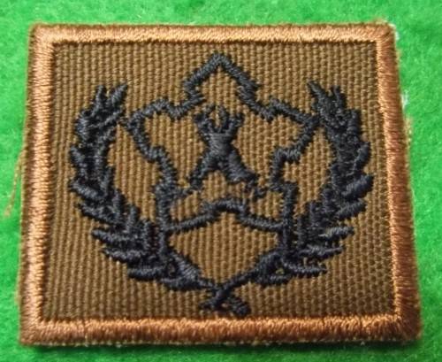 SADF - 5 YEAR VOLUNTEER SERVICE AWARD NUTRIA (EMBROIDERED BLACK)