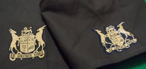 SADF - WO2  PRINTED NUTRIA RANK SLEEVES