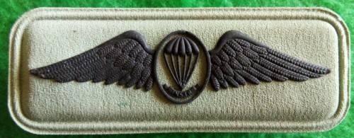 SANDF - PARA INSTR. WING - ( S2000) - PINS INTACT - GLUE STAINS ON REAR.