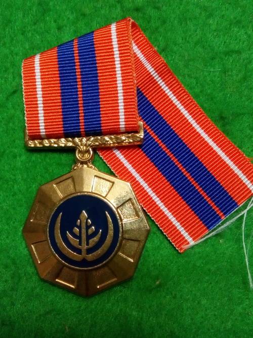 SADF - FULL SIZE PRO PATRIA MEDAL - FLAT ROUNDEL - FIXED SUSPENDER
