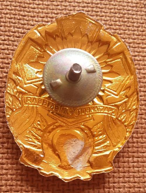 UKRAINE / USSR DEMOBILISATION  BADGE