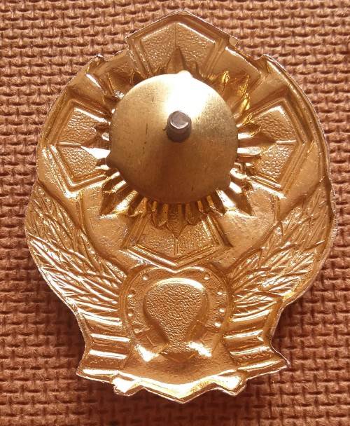 UKRAINE / USSR DEMOBILISATION  BADGE