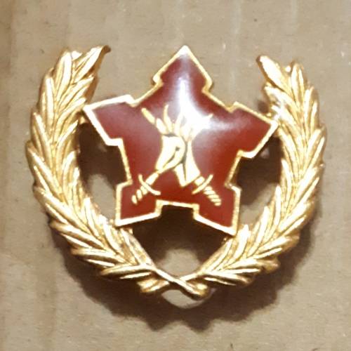 SADF - ARMY 5 YEAR VOLUNTEER SERVICE - PINS INTACT