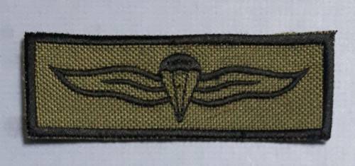 UNOFFICIAL PARA WINGS ON GREEN