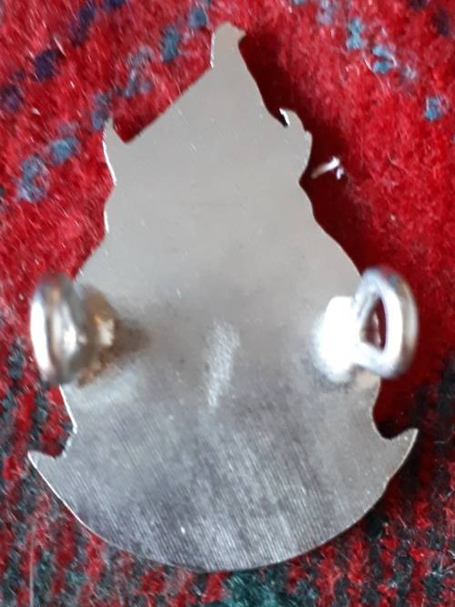 RHODESIA DEFENCE REGIMENT CAP BADGE - LUGS INTACT
