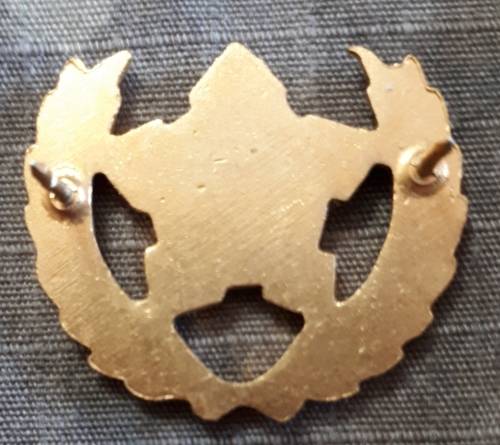 SADF - ARMY 5 YEAR VOLUNTEER SERVICE - PINS INTACT