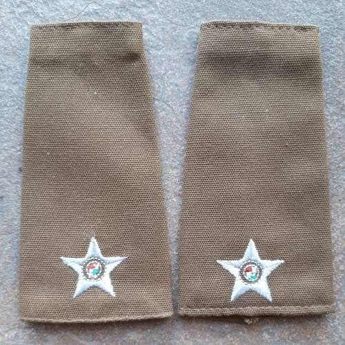 SADF - 2LT NUTRIA SLIP ON RANK PAIR (LAST NUTRIA DRESS)