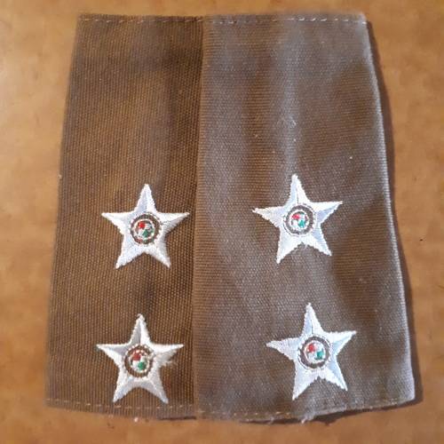 SADF - LT NUTRIA SLIP ON RANK PAIR (LAST NUTRIA DRESS)
