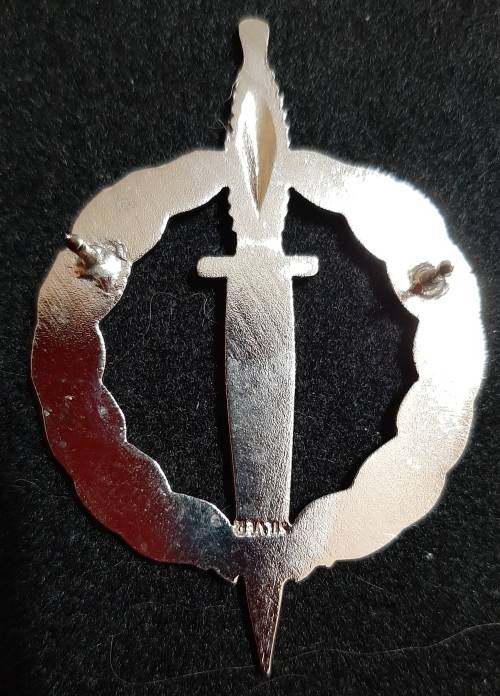 SADF / SANDF - RECCE OPERATOR (MUSEUM QUALITY COPY)  - PINS INTACT