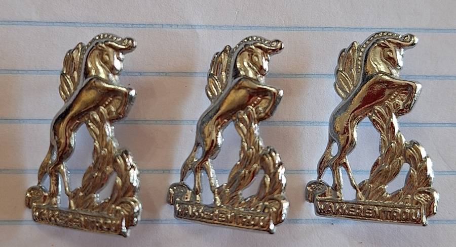 LOT OF 3 X SADF REGT BLOEMSPRUIT COLLAR BADGES - ALL SCREWS LUGS AND PINS INTACT