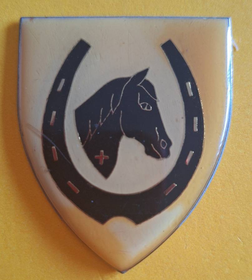 SADF - EQUESTRIAN CENTRE SHOULDER FLASH ## NO PINS ##