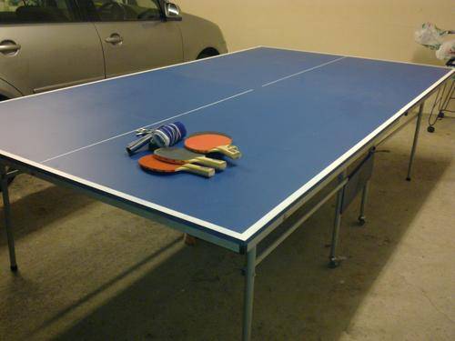SNT Pro Table Tennis