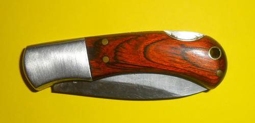 Lockable Blade Pocket Knife