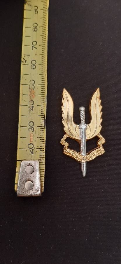 ** Rhodesian Bush War-  S.A.S (Special Air Service) `C` Squadron Anodised Beret Badge (1961-1978).**