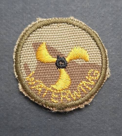 ** Pre-1994 South African Police (S.A.P) Camo Waterwing Badge .**