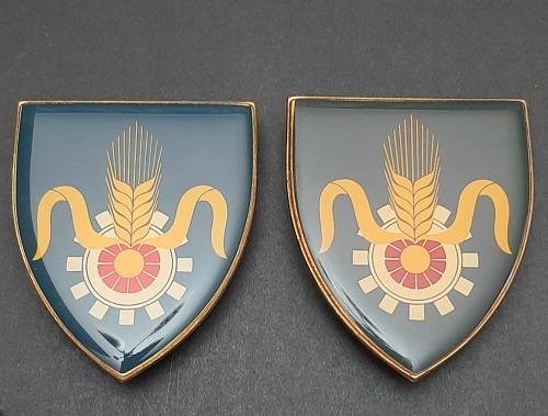 Border War 1970s SADF Quartermaster General Lucite Flash Pair Pins