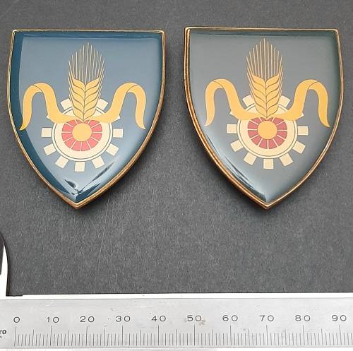 Border War 1970s SADF Quartermaster General Lucite Flash Pair Pins