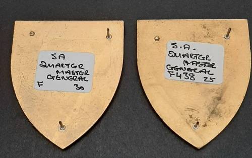 Border War 1970s SADF Quartermaster General Lucite Flash Pair Pins