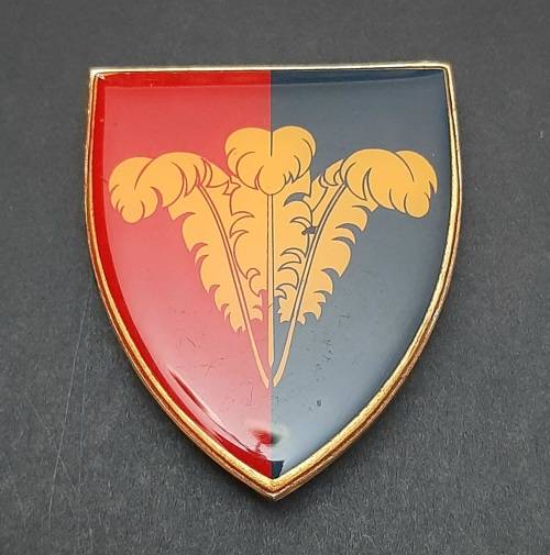 * Border War : 1970s SADF South Cape Command Lucite Flash  (All Pins).**