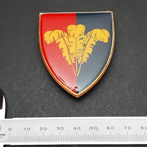 * Border War : 1970s SADF South Cape Command Lucite Flash  (All Pins).**