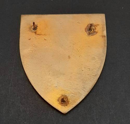 * Border War : 1970s SADF South Cape Command Lucite Flash  (All Pins).**