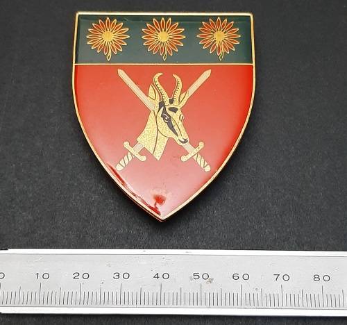 * Border War : 1980s SADF N/ Transvaal Comm. Lucite Flash x1 (All Pins).**