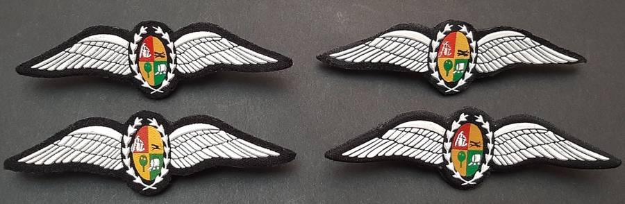 **Border War : 1980s SAAF Tupperware Pilot`s Wings Embossed w/ Pins(UNUSED).**