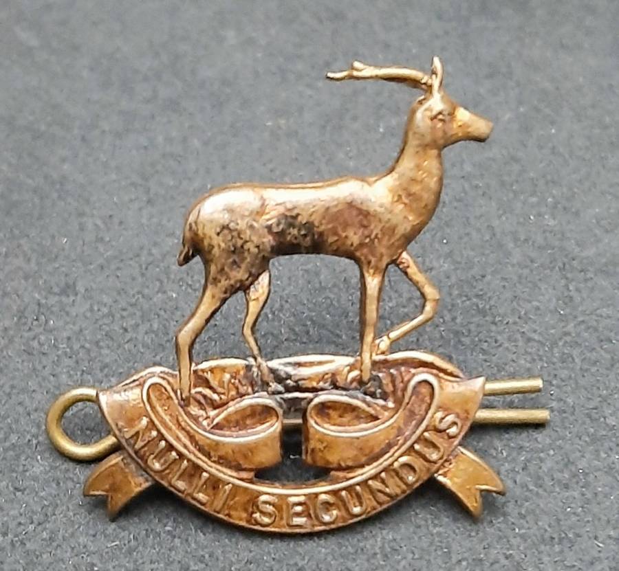 **WW2 UDF: Pretoria Regiment Brass Cap Badge w/ Pin.**