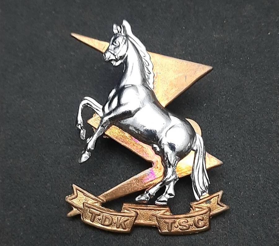 **Border War : 1980s SADF Technical Service Corps Beret Badge w/ Lugs  (LARGE).**