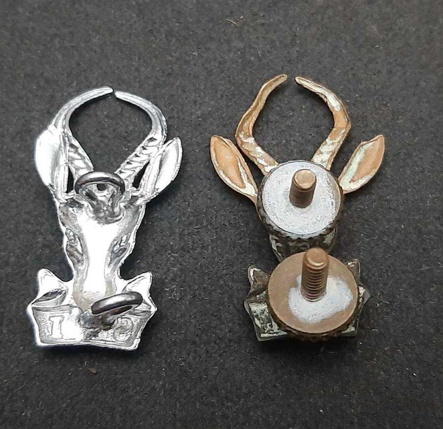 **Border War : 1960s / 70s SADF 'Bok Kop' Beret Badges x2 (Lugs Intact).**