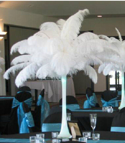 Quality ostrich feathers